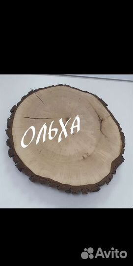 Спил дерева, дуб, ясень, каштан, кипарис, ольха