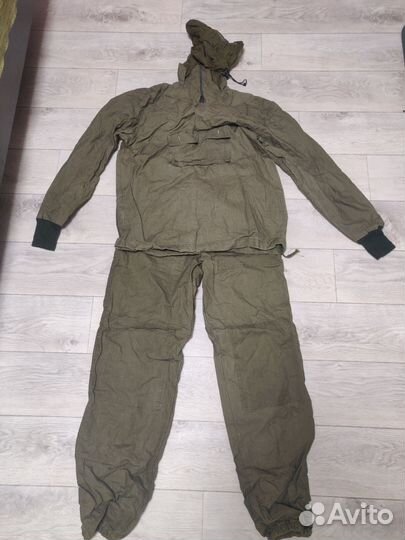 Инцифалитка