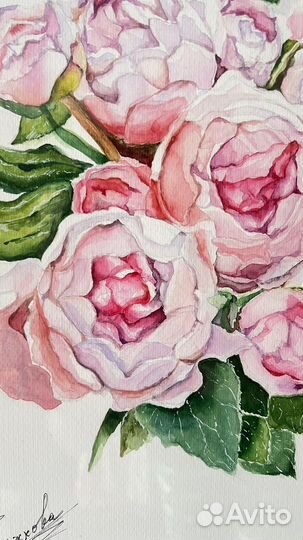 Картина Пионы 40х30, рама. бумага, акварель