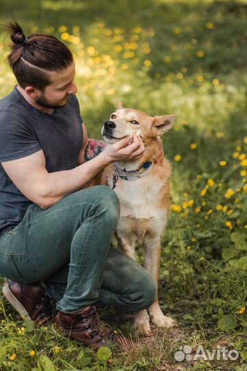 Лэнвилл в ожидании своей семьи