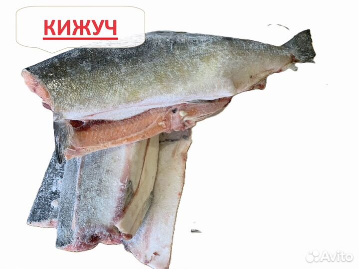 Чавыча / нерка /кижуч / горбуша (камчатка)