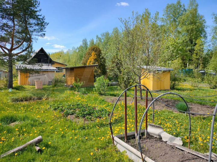 Участок 14 сот. (СНТ, ДНП)