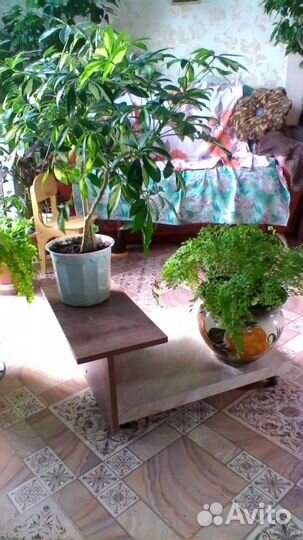 Подставка, полочка для цветов