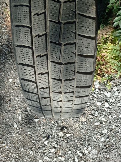 Dunlop Winter Maxx 195/65 R15 90Z