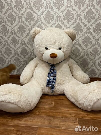 Большой плюшевый медведь