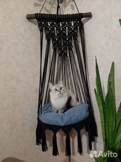 Лежанка для кошек