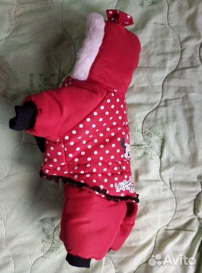 Одежда для маленьких собак xs