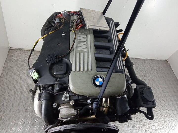 Двигатель 256D1 BMW 5 E39 (1995-2003)