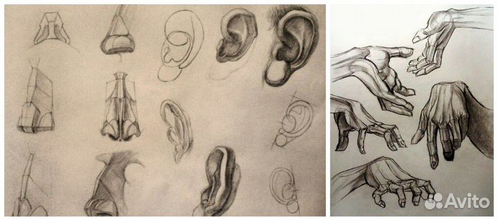 Уроки рисования. Преподаватель, учитель, репетитор