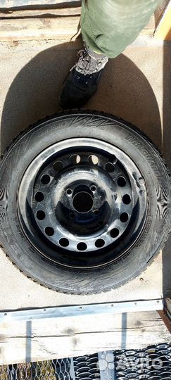 Nexen Winguard 195/60 R15