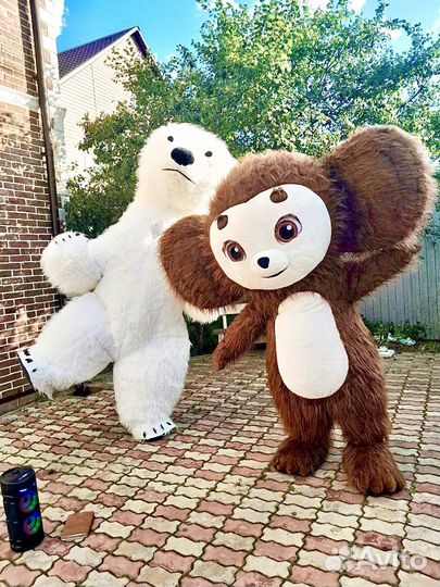 Ростовой медведь белый, чебурашка