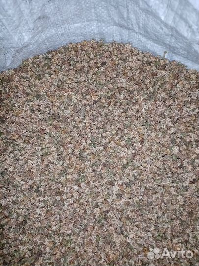 Семена кормовой свеклы