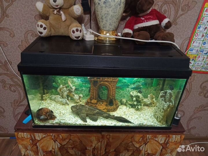 Аквариум украшения грунт и т,д