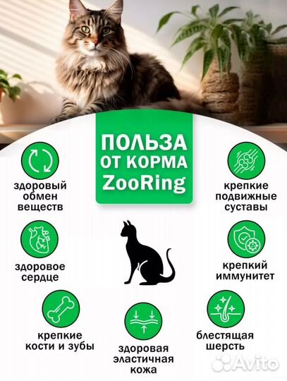 Корм для кошек Zooring 10кг