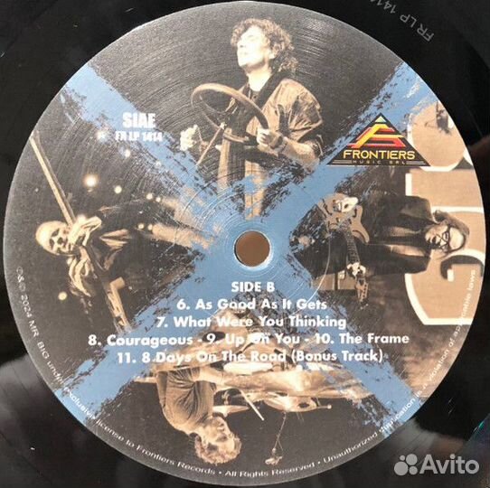 Винил Mr. Big – Ten