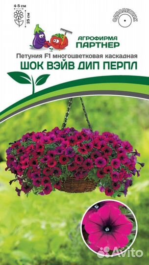 Семена петунии