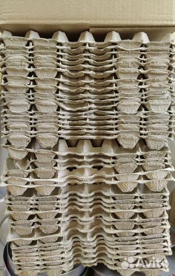 Ячейки для яиц куриных