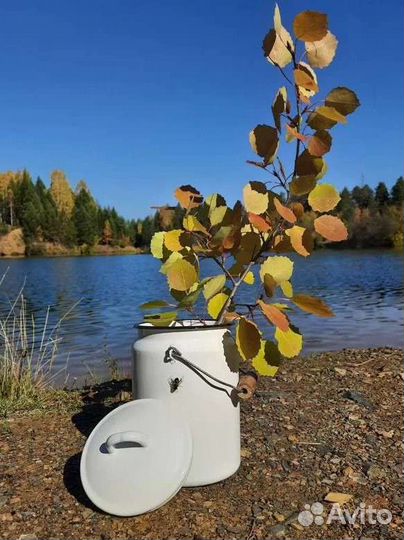 Бидон эмалированный СССР. Советский бидон