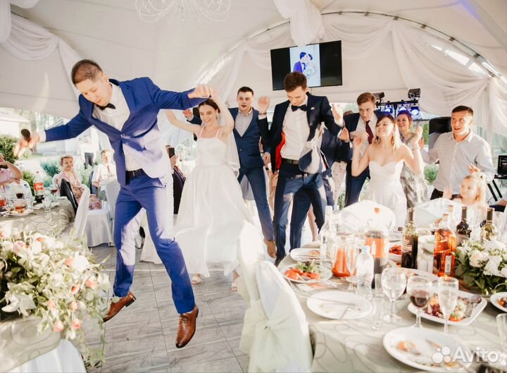 Ведущий на свадьбу + Dj с оборудованием