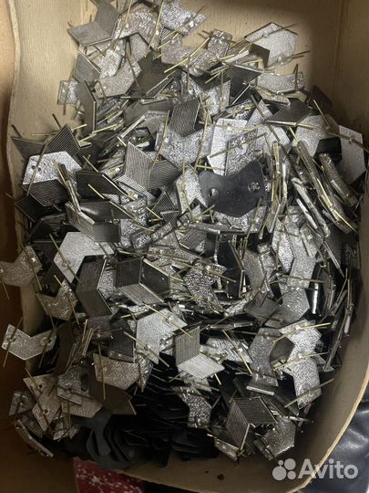 Лычки серебристые