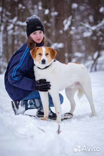 Молодой, ласковый мальчишка. Дружит с детьми