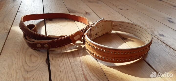 Ошейник для крупной собаки
