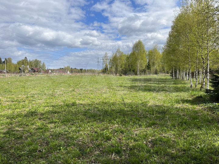 Участок 15 сот. (ИЖС)