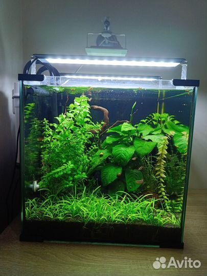 Аквариум 64 литра