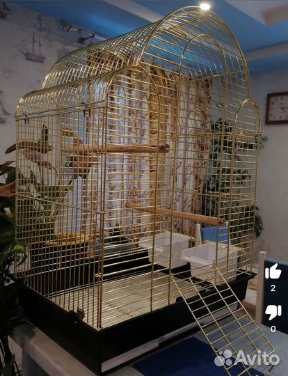 Клетка для попугая