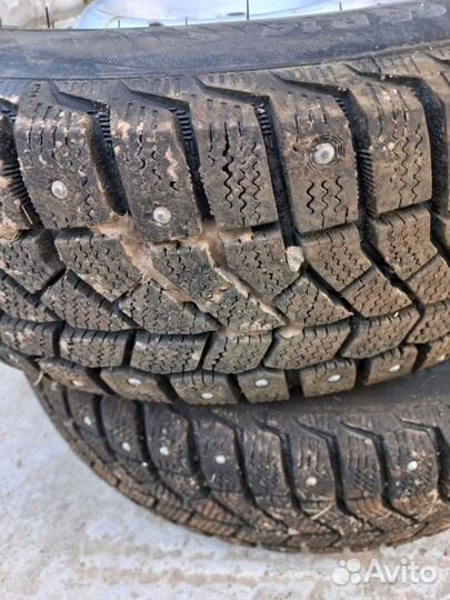 Viatti Brina Nordico V-522 175/65 R14