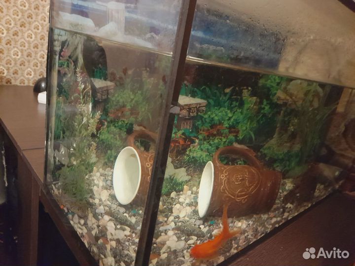 Аквариум