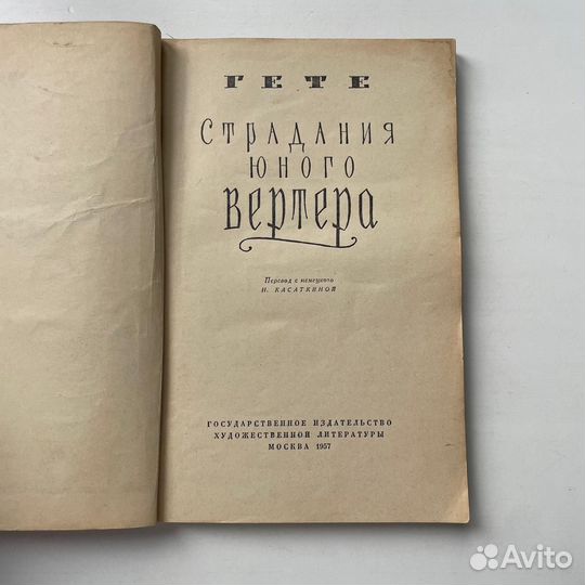Страдания юного Вертера Гете