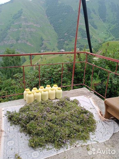 Пыльца сосновая