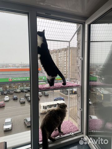 Балкон для кошки, сьемные