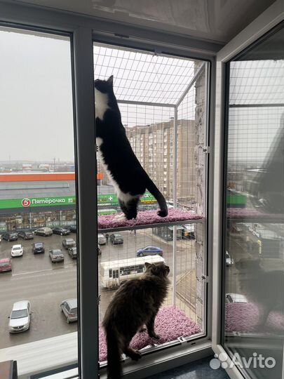 Балкон для кошки, сьемные