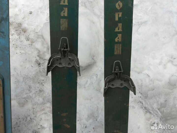 Лыжи для охоты