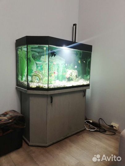 Аквариум