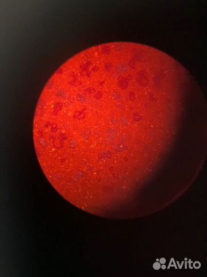 Репетитор по химии и по математике