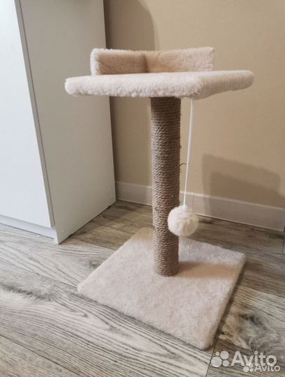 Когтеточка