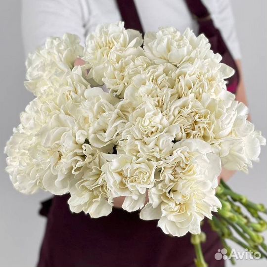 Гвоздика, цветы, готовые букеты