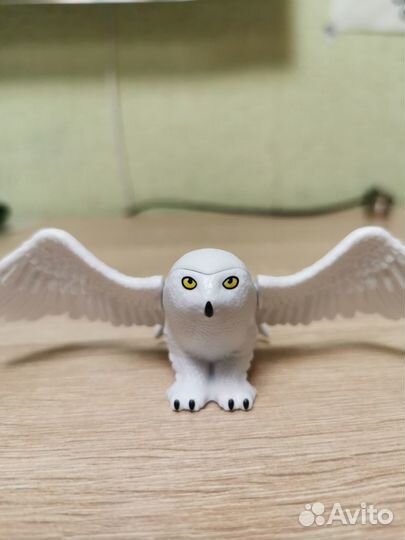 Киндер макси натунс 2023