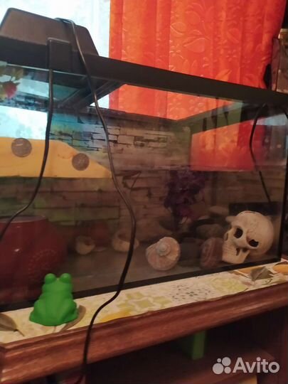 Аквариум