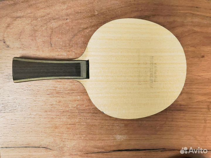 Donic skachkov carbon