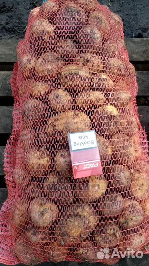 Продам картофель оптом