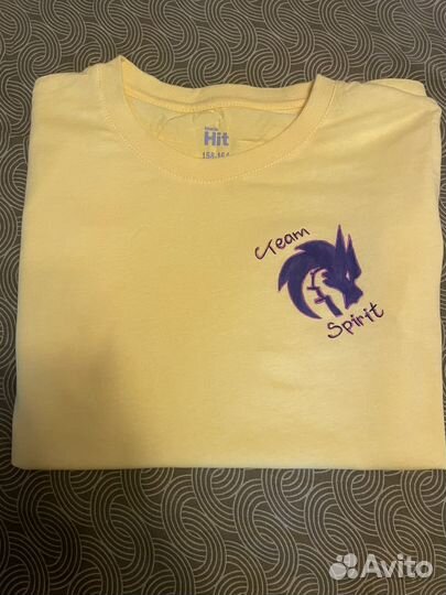 Футба Team Spirit