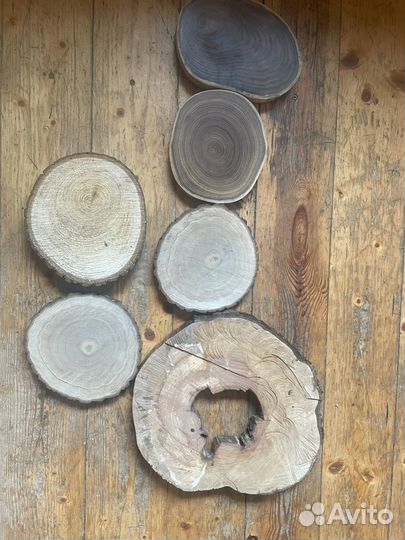 Спилы дерева разные