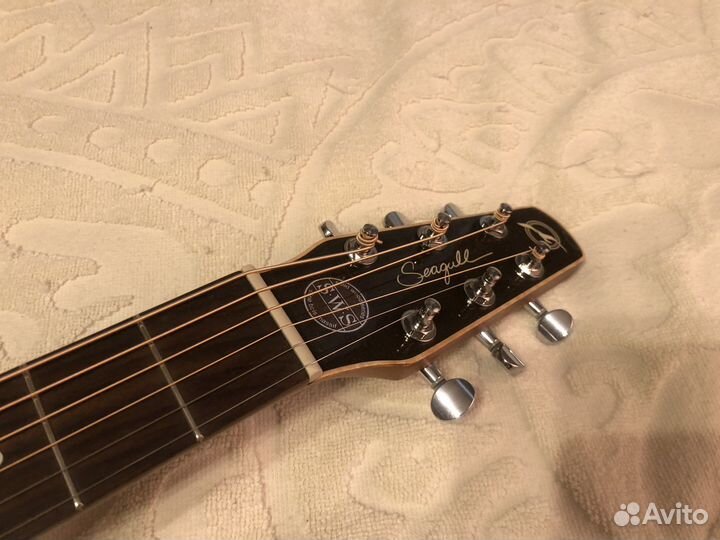 Гитара Seagull (Godin) полностью из массива