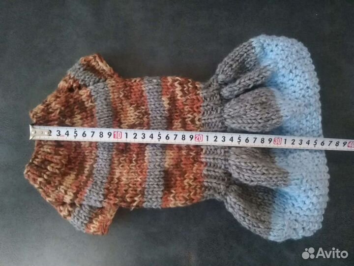 Одежда для собак