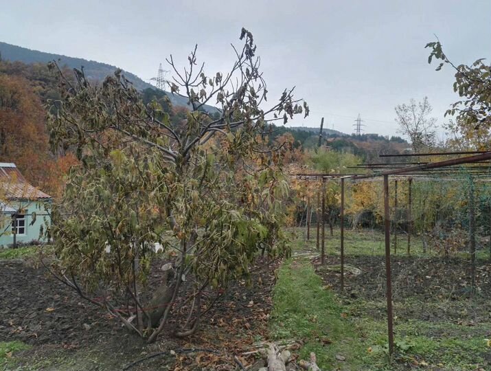 Участок 12,2 сот. (ИЖС)