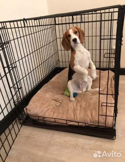 Клетка (вольер) для животных в квартиру